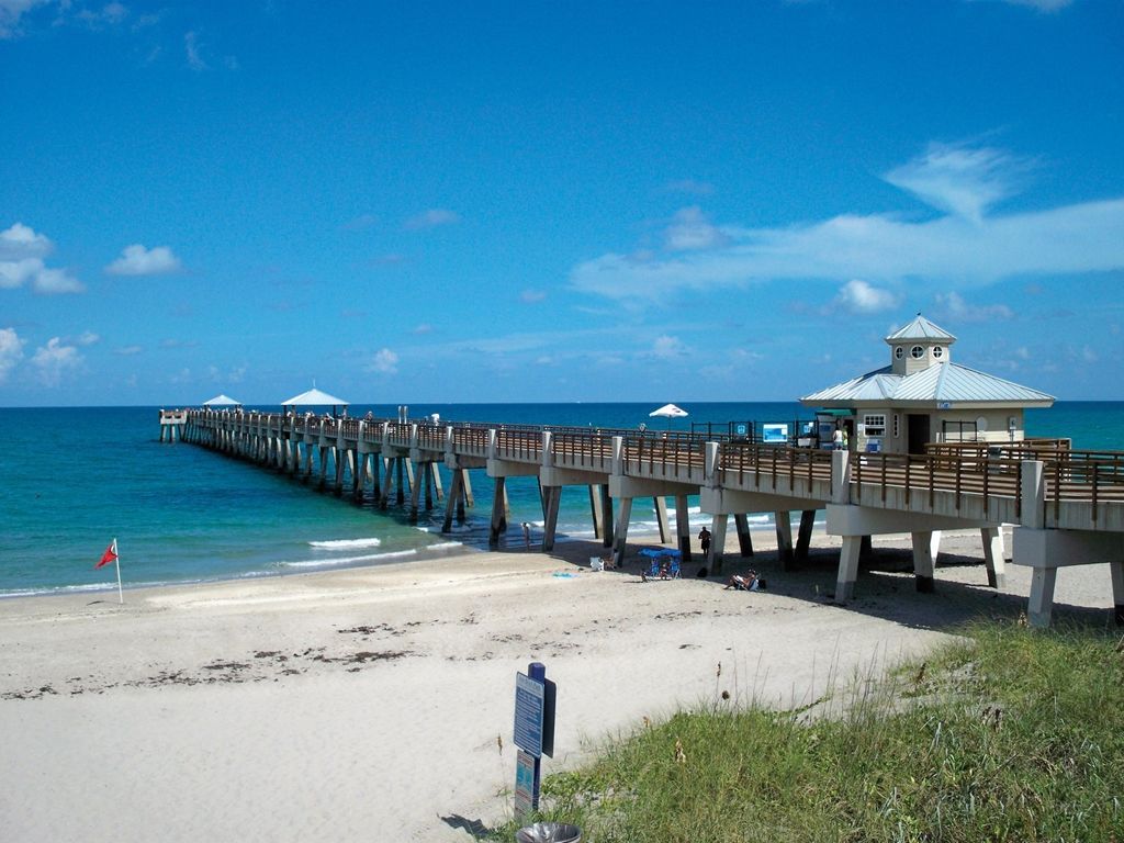Hilton Palm Pbi